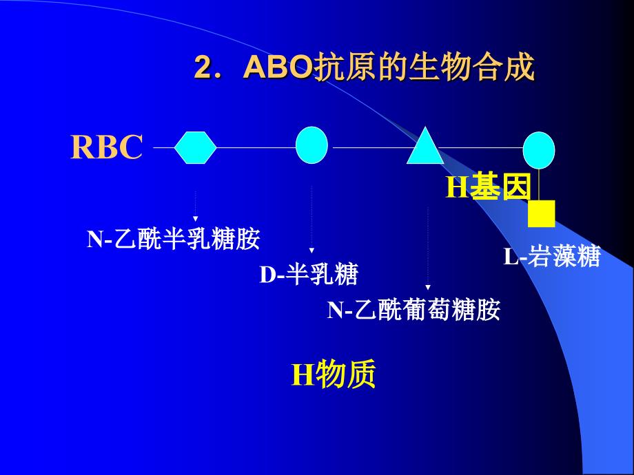 血型与输血文档资料_第4页