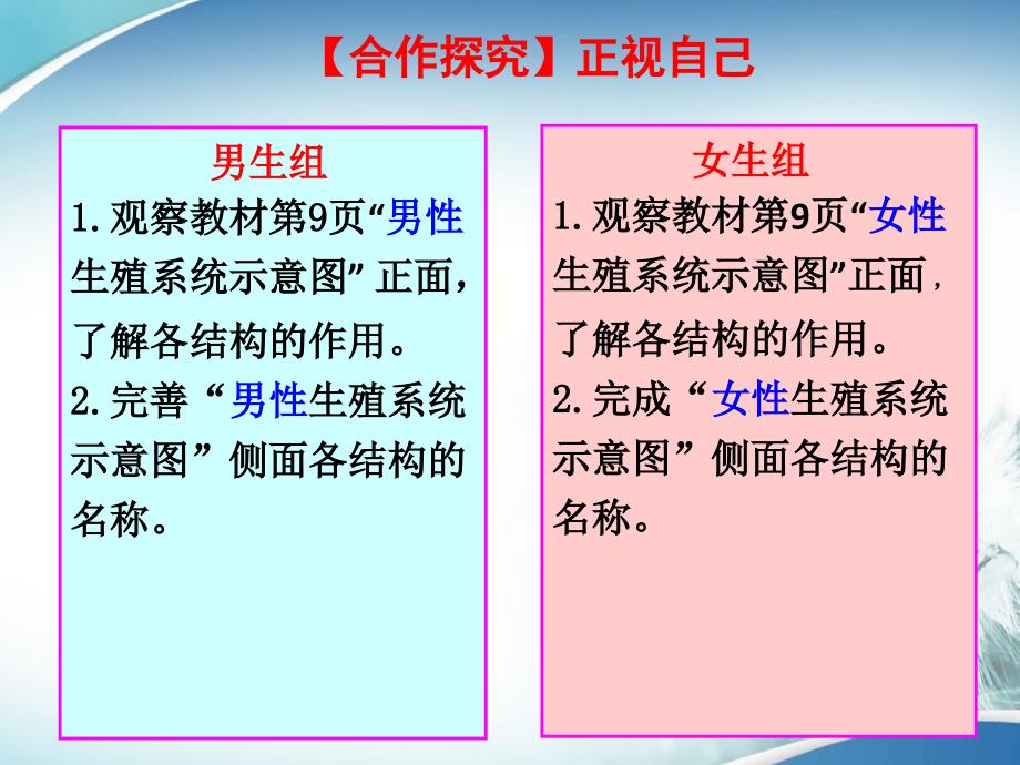 第一节精卵结合孕育新的生命课件_第3页