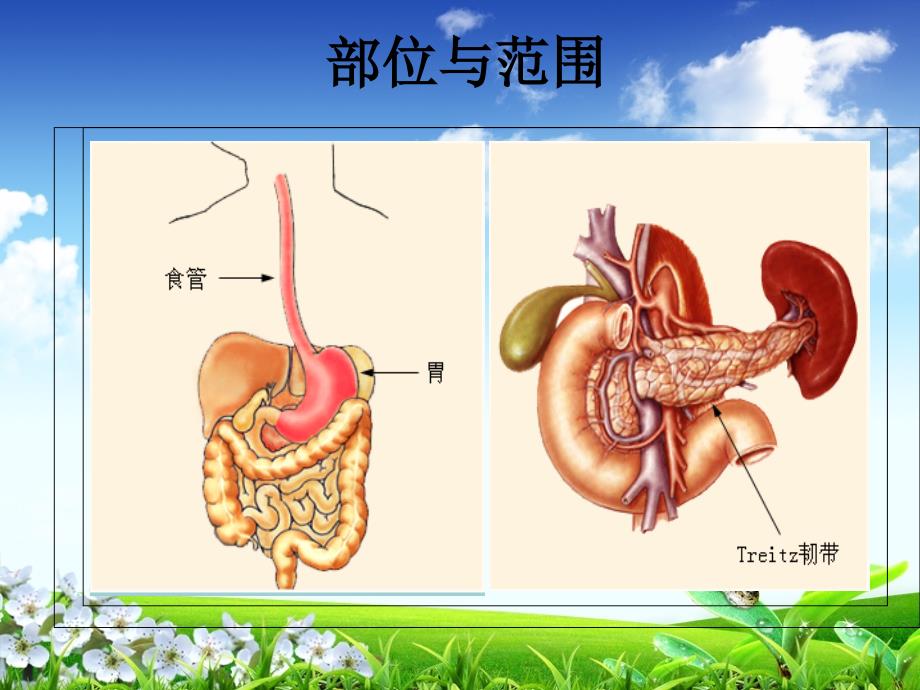 上消化道出血护理查房.01_第3页