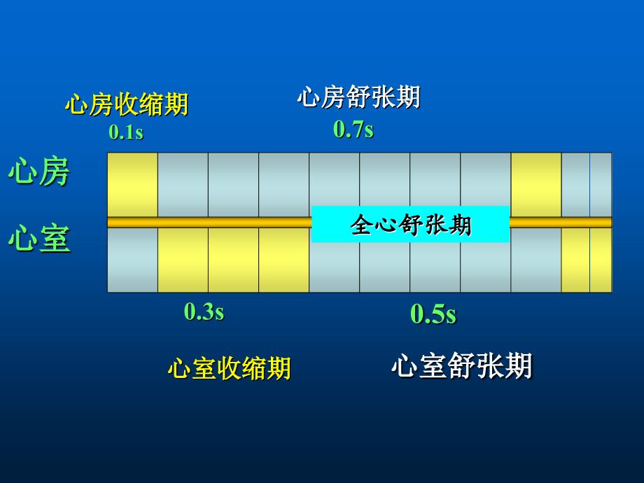 第六章循环系统二_第3页