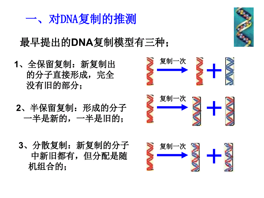 高二生物DNA的复制PPT课件_第2页