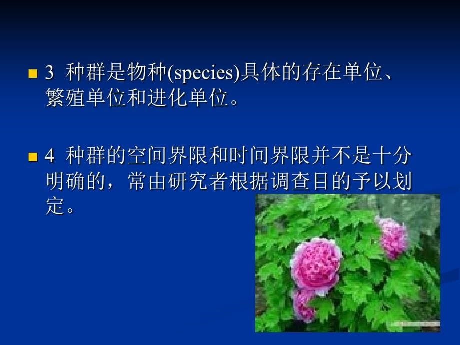 《种群及特征》PPT课件.ppt_第5页