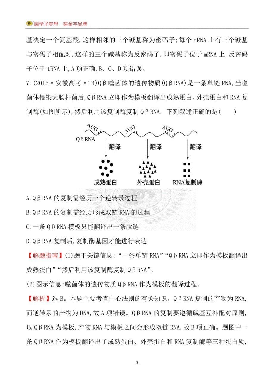 高考生物复习高考真题题库15知识点9遗传信息的表达_第5页