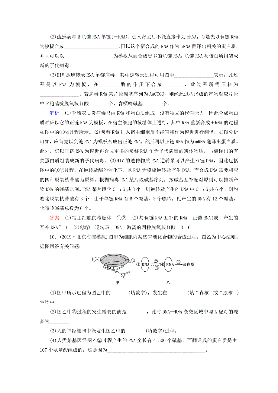 山东专用2021高考生物一轮复习课时作业18基因的表达含解析_第4页