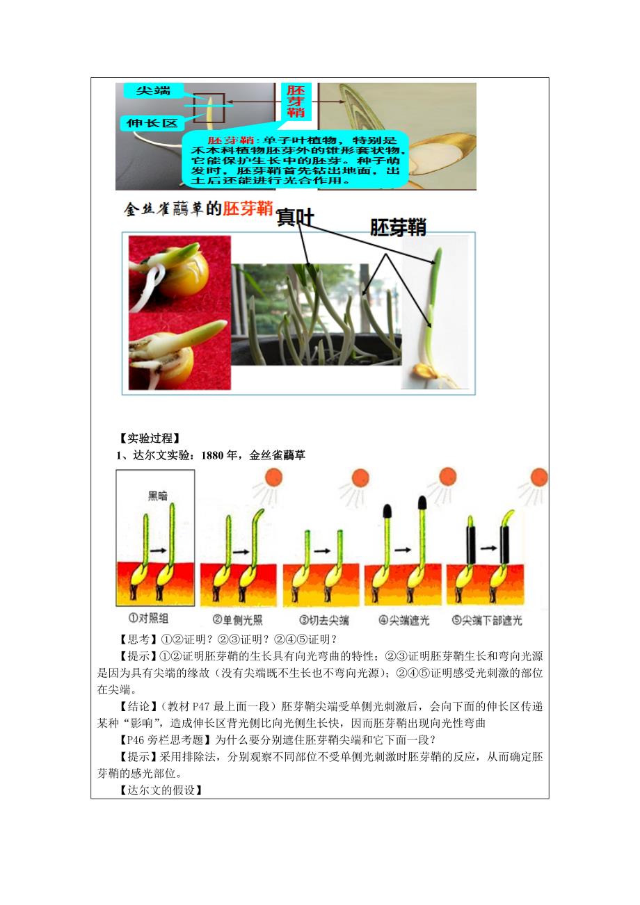 31植物生长素的发现（第一课时）教学设计_第3页