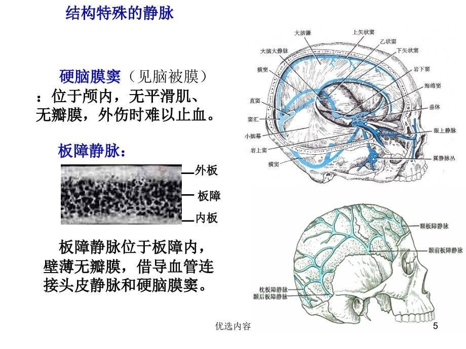 静脉、淋巴（业内荟萃）_第5页