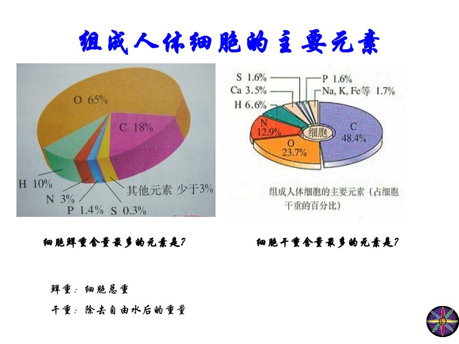 人教版高中生物必修1第2章《组成细胞的分子》--复习课-件课件_第3页