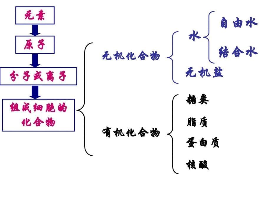 人教版高中生物必修1第2章《组成细胞的分子》--复习课-件课件_第5页