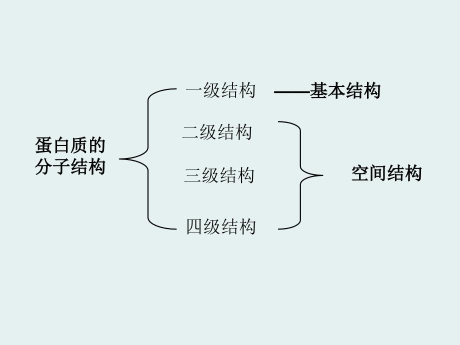 第二节蛋白质的分子结构PPT课件_第2页