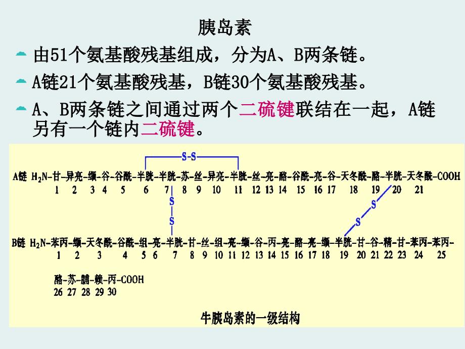 第二节蛋白质的分子结构PPT课件_第4页