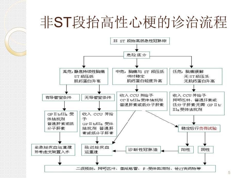 依替巴肽(埃菲替巴肽)浅谈PPT_第5页