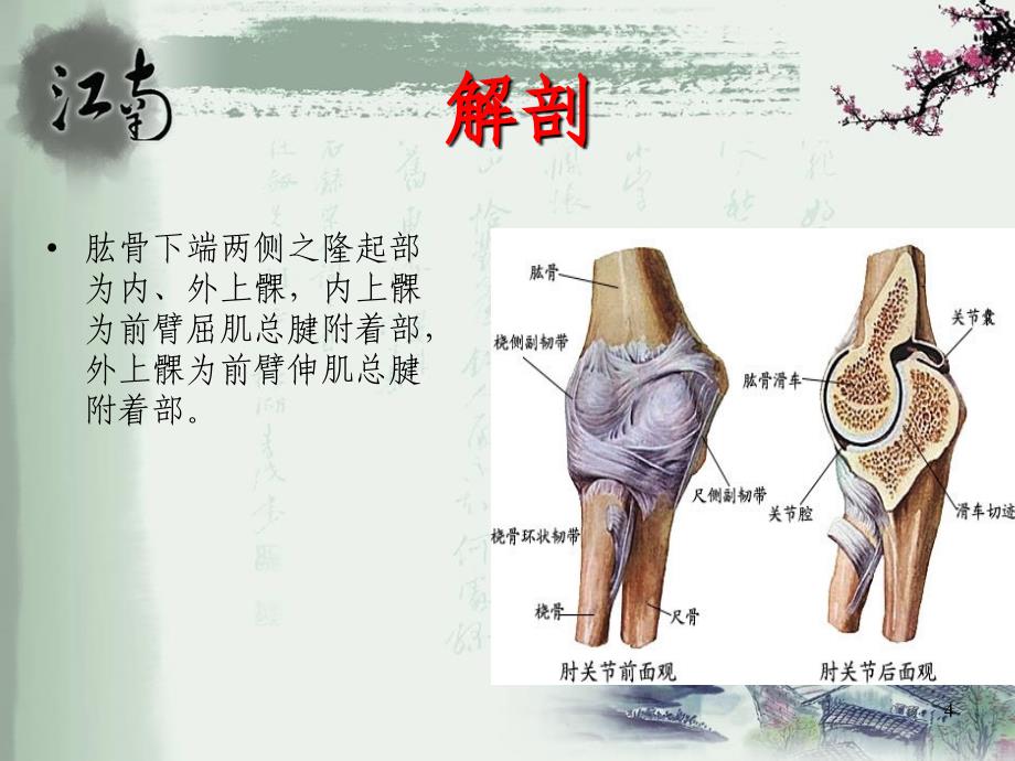 肱骨外上髁炎ppt课件_第4页