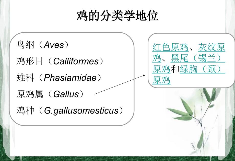 鸡的起源与进化.ppt_第4页