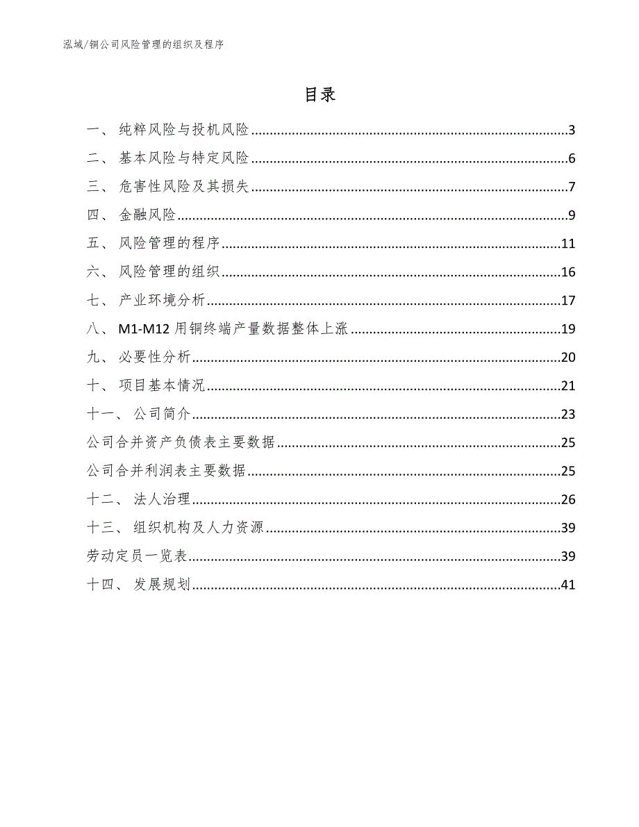 铜公司风险管理的组织及程序_第2页