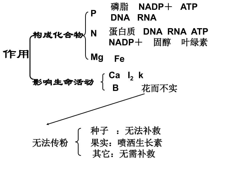 蛋白质7省级示范性高中所用教学课件_第5页