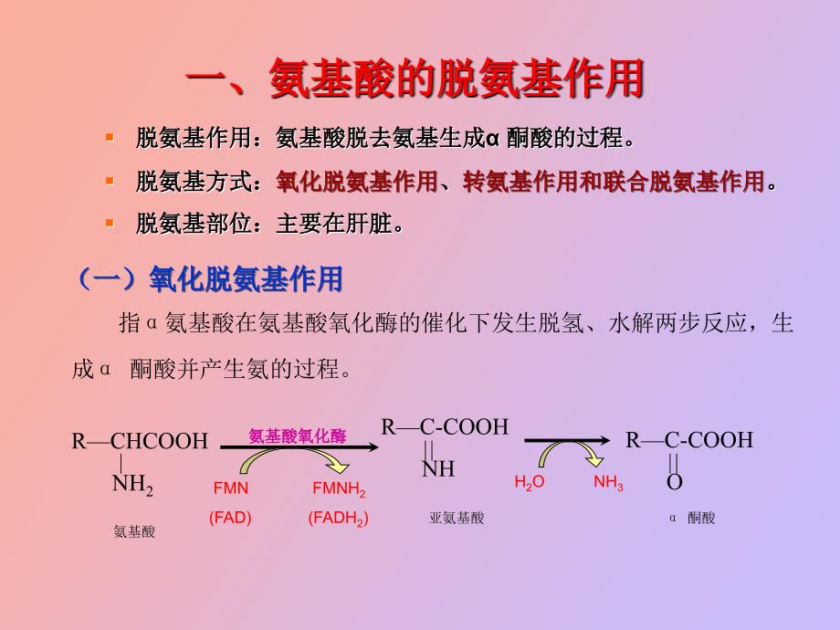 氨基酸和核苷酸代谢_第4页