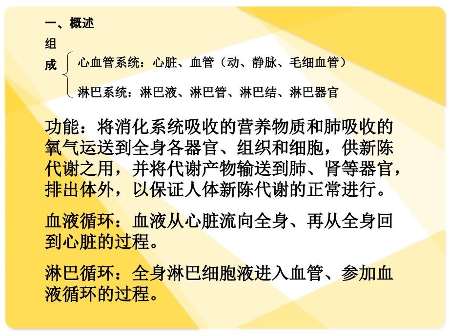 幼儿循环系统的特点与卫生保健_第2页