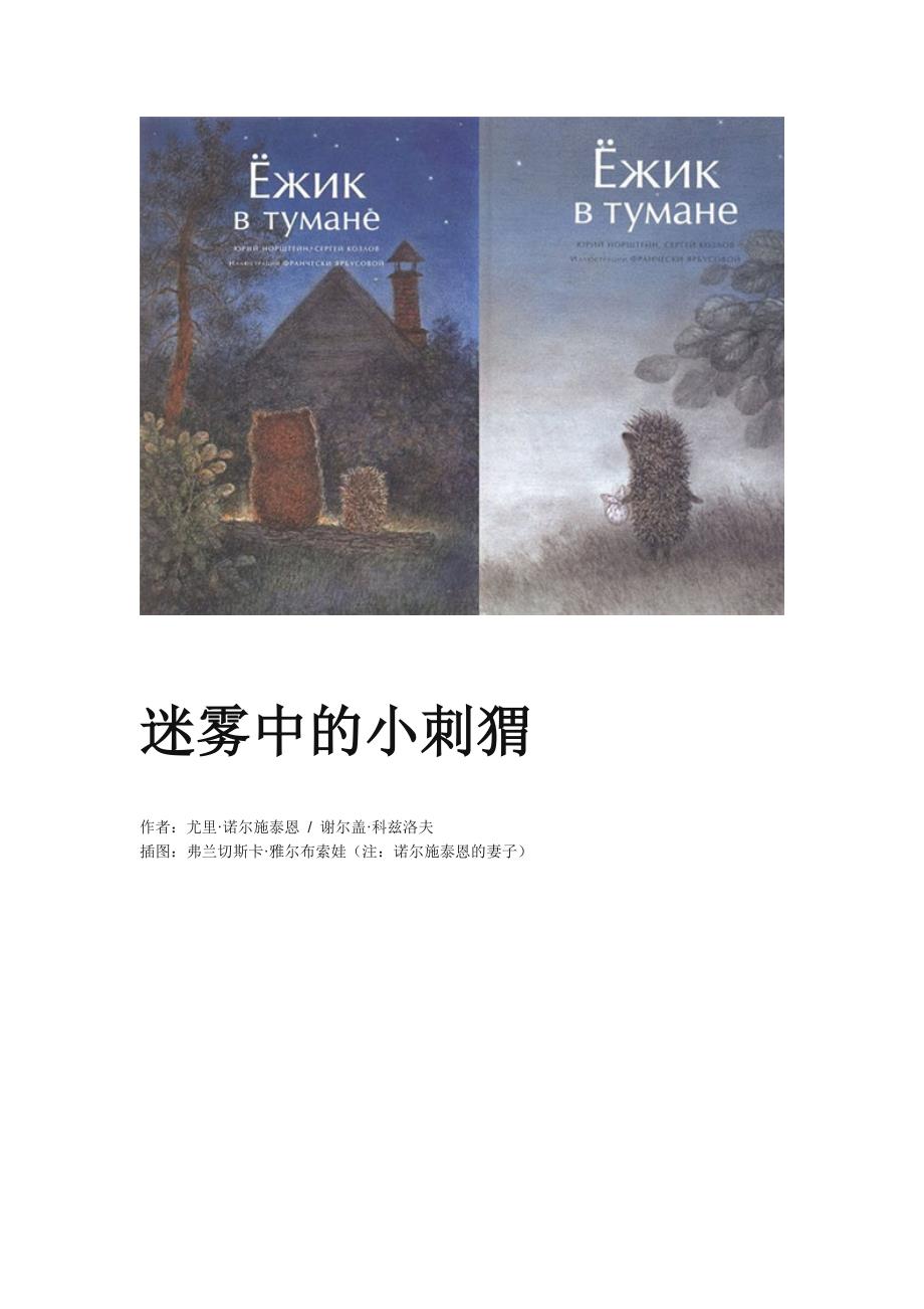 迷雾中的小刺猬_第1页