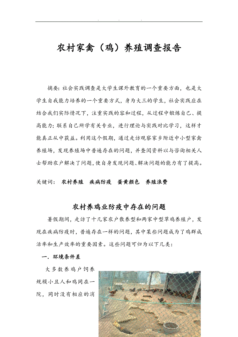 农村家禽鸡养殖调查报告_第1页