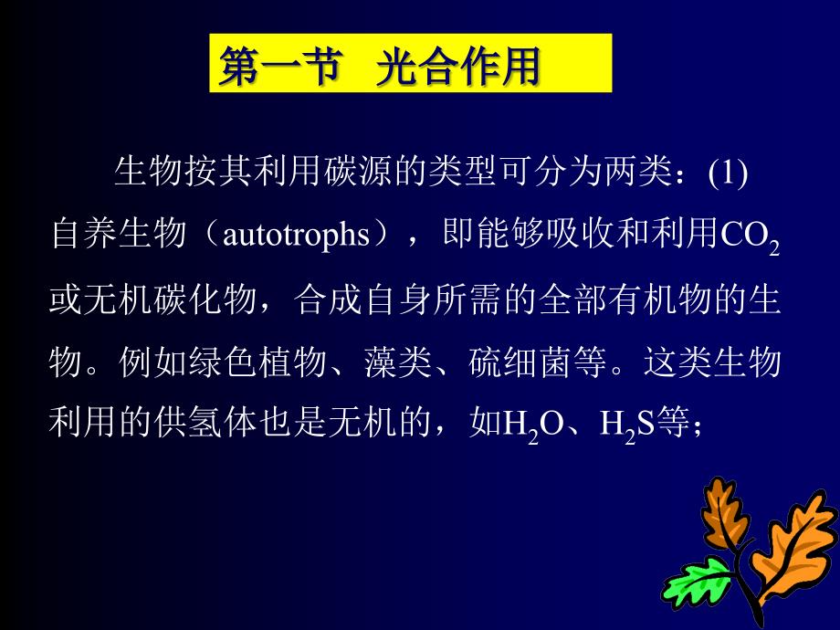 糖类的合成代谢PPT课件_第3页