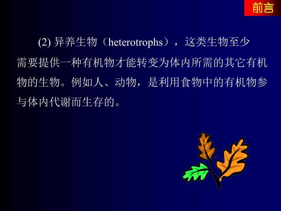 糖类的合成代谢PPT课件_第4页