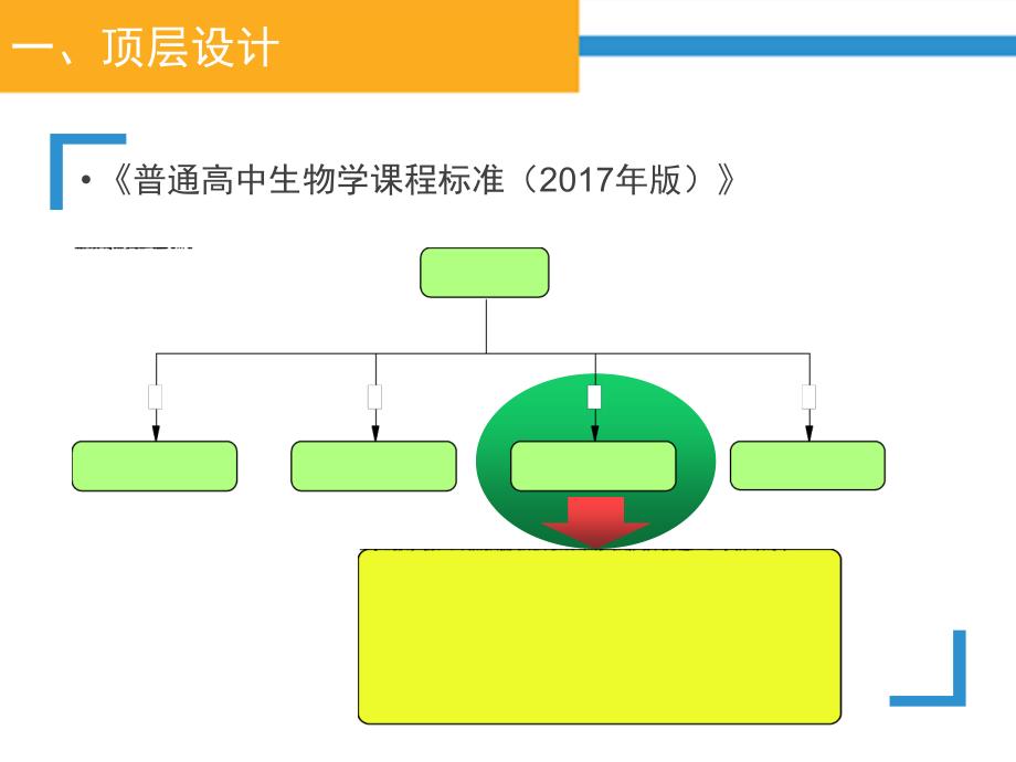 生物学STEM课程及案例_第4页