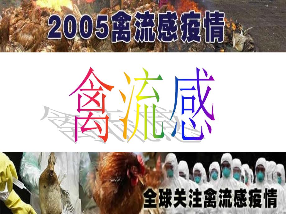 九年级科学传染病专题复习_第2页