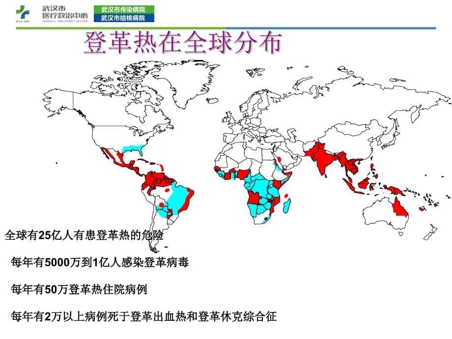 登革热临床诊疗_第5页