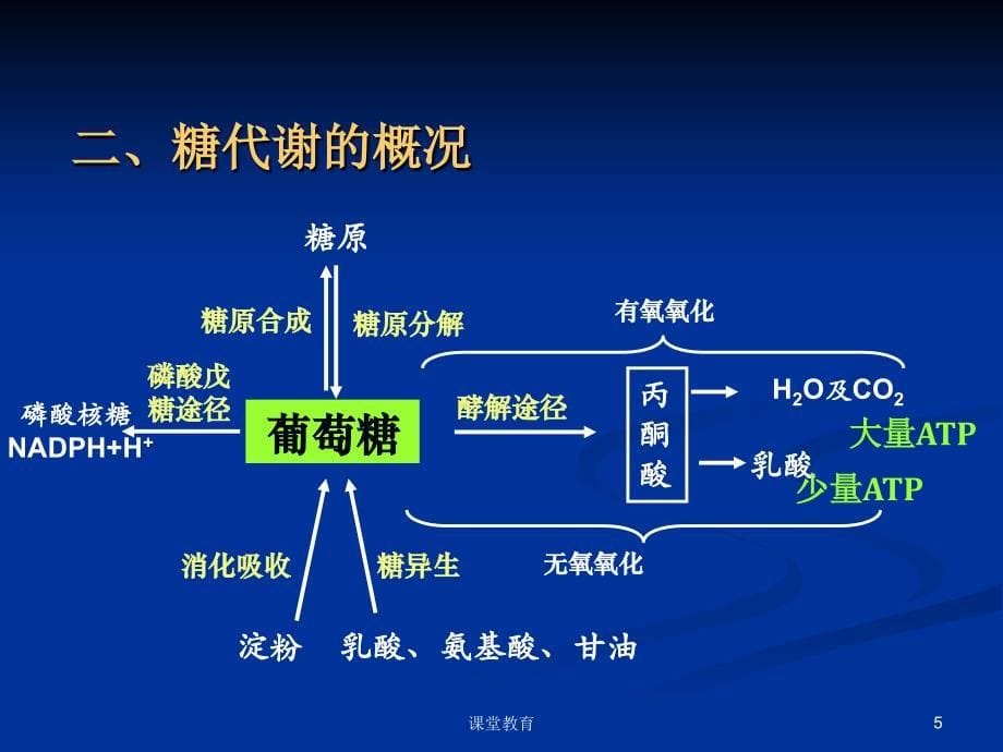 4糖的有氧氧化优教课堂_第5页