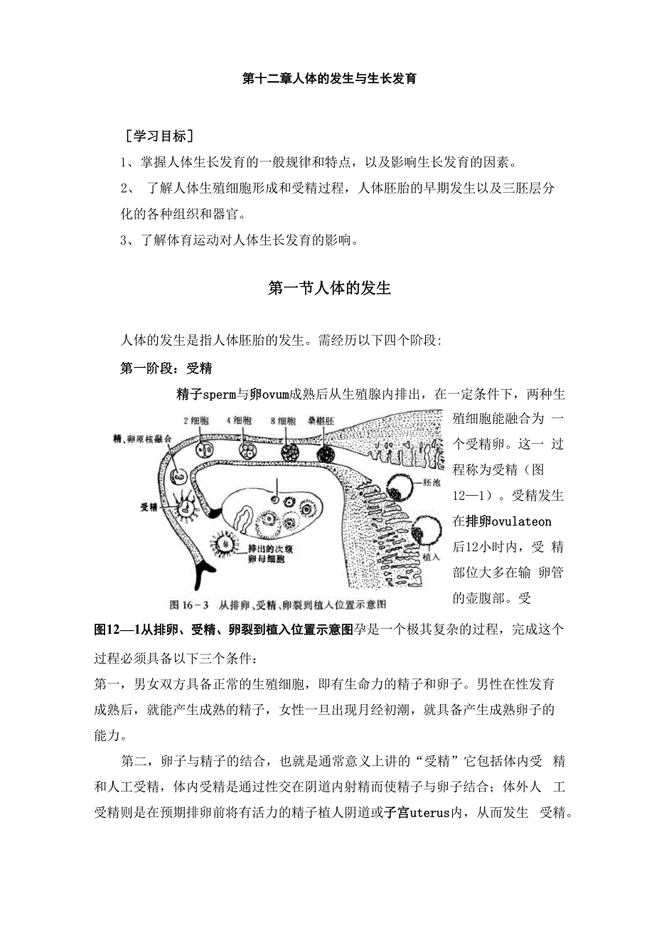 人体解剖学 第十二章人体的发生与生长发育_第1页