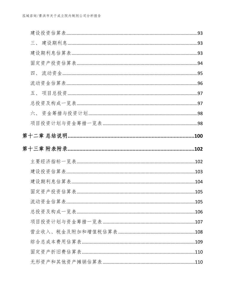 景洪市关于成立院内制剂公司分析报告_第5页