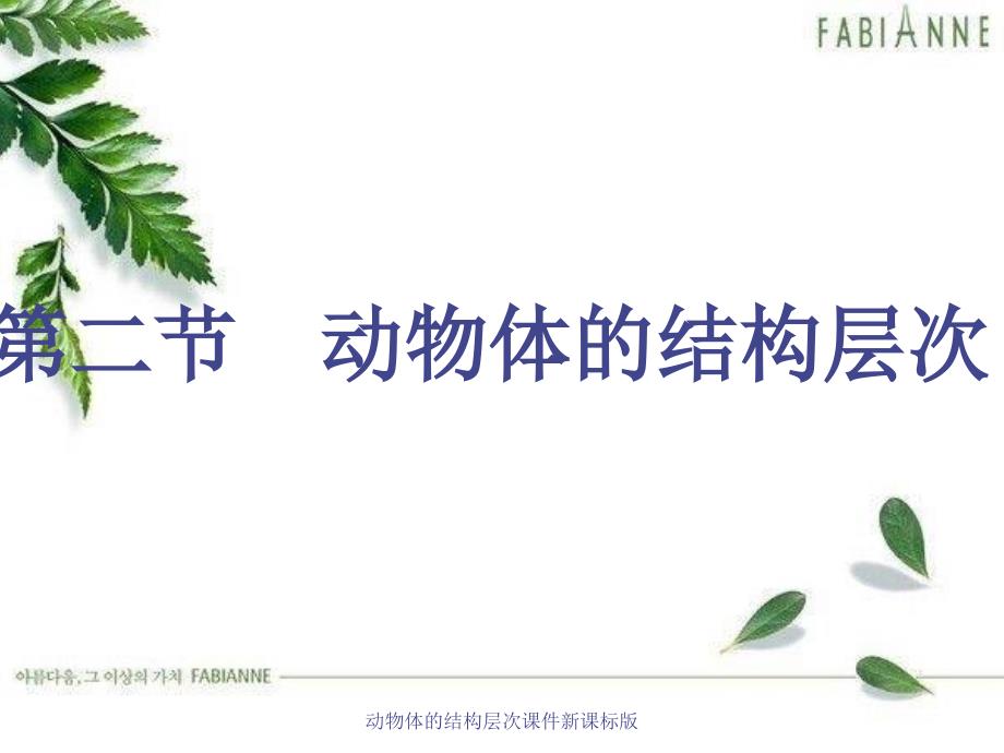 动物体的结构层次课件新课标版经典实用_第3页