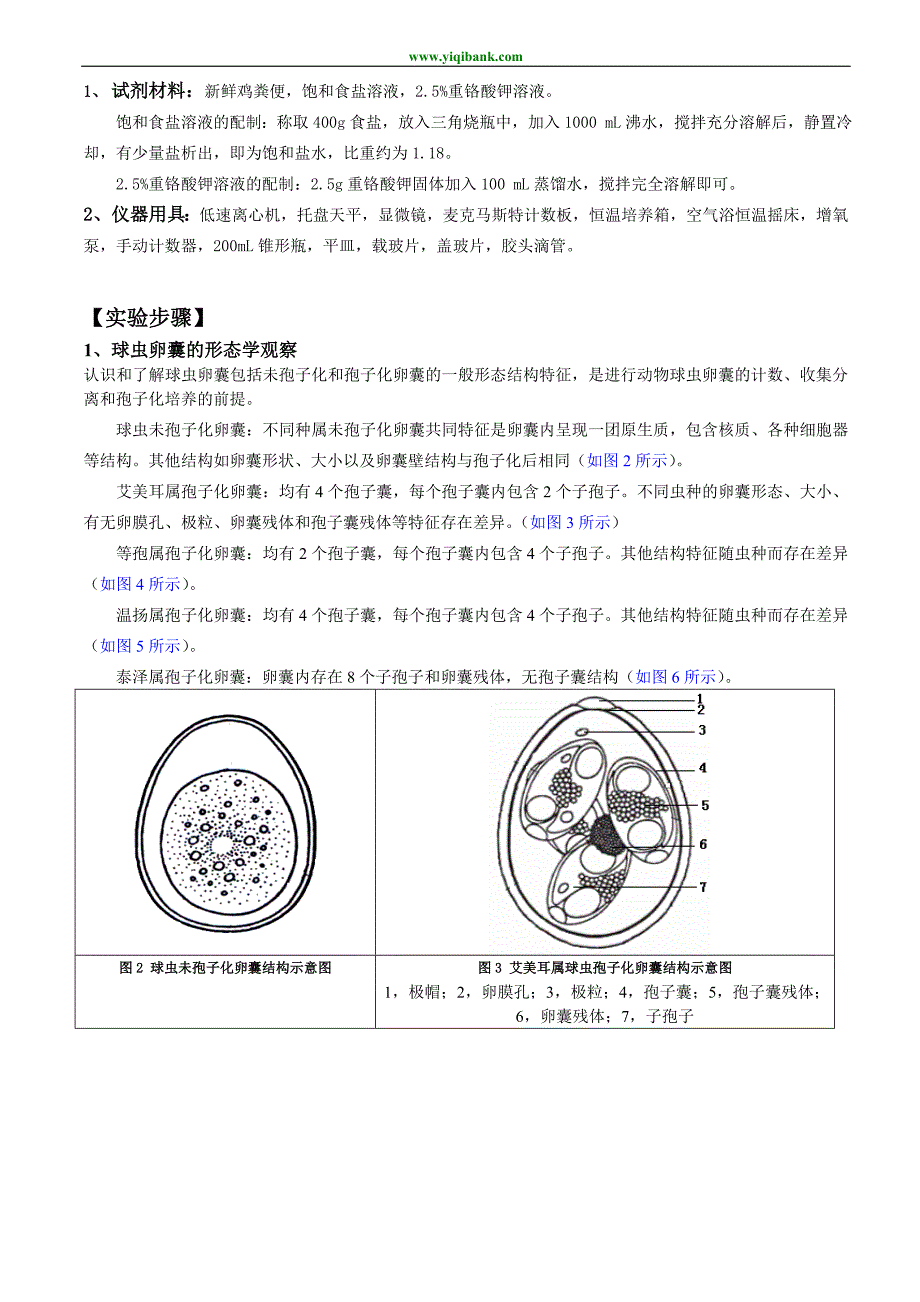 实验二、粪便中球虫卵囊的计数、分离和孢子化培养技术_第2页