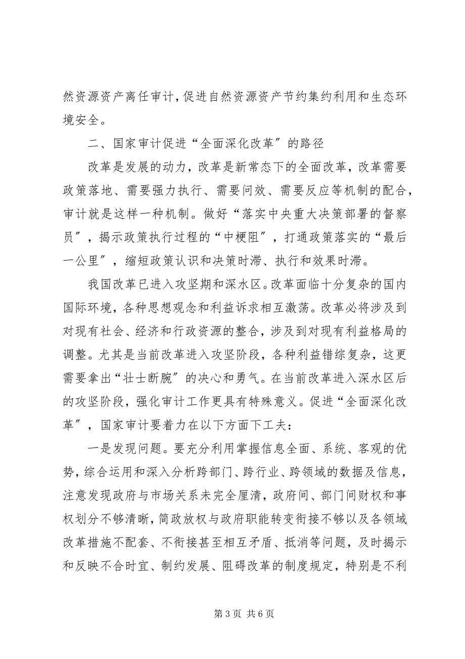 2023年论国家审计服务四个全面战略布局的实施路径.docx_第3页