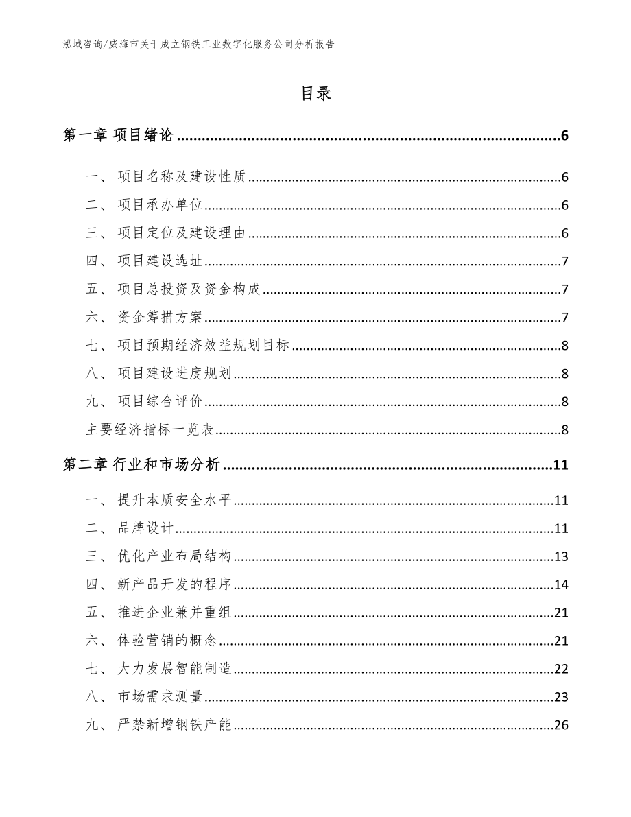 威海市关于成立钢铁工业数字化服务公司分析报告参考范文_第2页