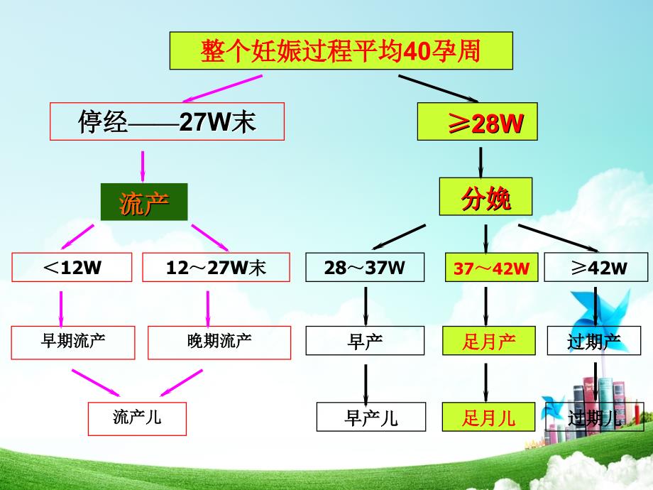 妇产科护理学第05章分娩期妇女的护理_第4页