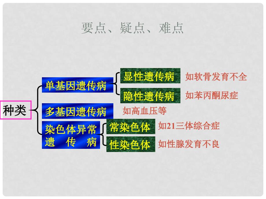 高中生物：6.5《人类遗传病与优生》课件（旧人教版必修2）_第3页