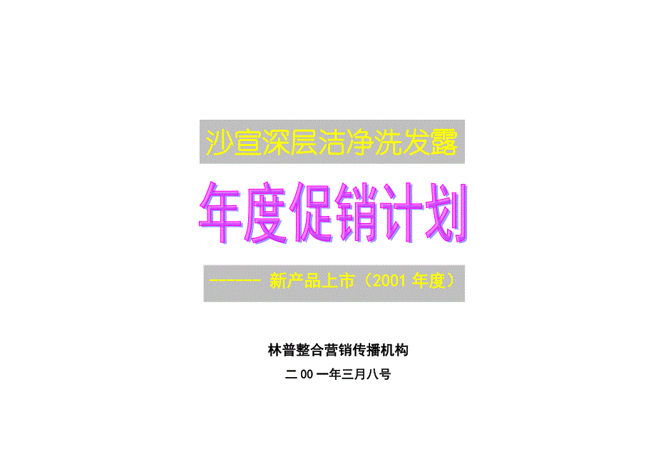 沙宣深层洁净洗发露年度促销计划书_第1页