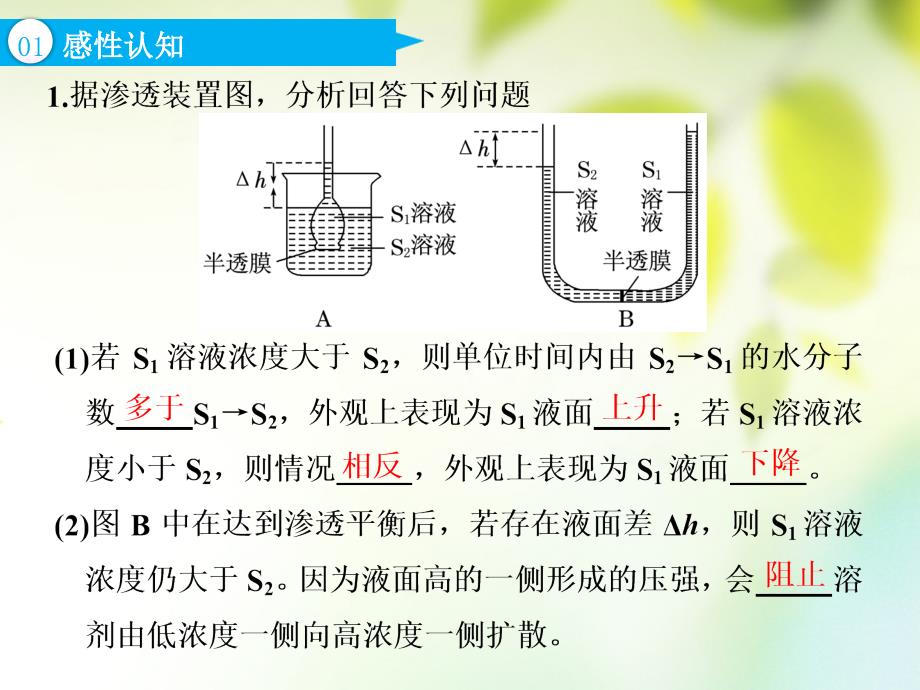 （全国通用）高考生物一轮复习 第1部分 分子与细胞 第二单元 细胞的结构和物质的输入与输出 第3讲 物质跨膜运输的实例和方式课件_第4页