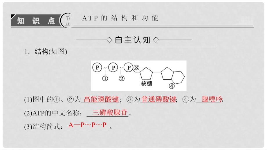 高中生物 第五章 细胞的能量供应和利用 第2节 细胞的能量“通货”——ATP课件 新人教版必修1_第3页