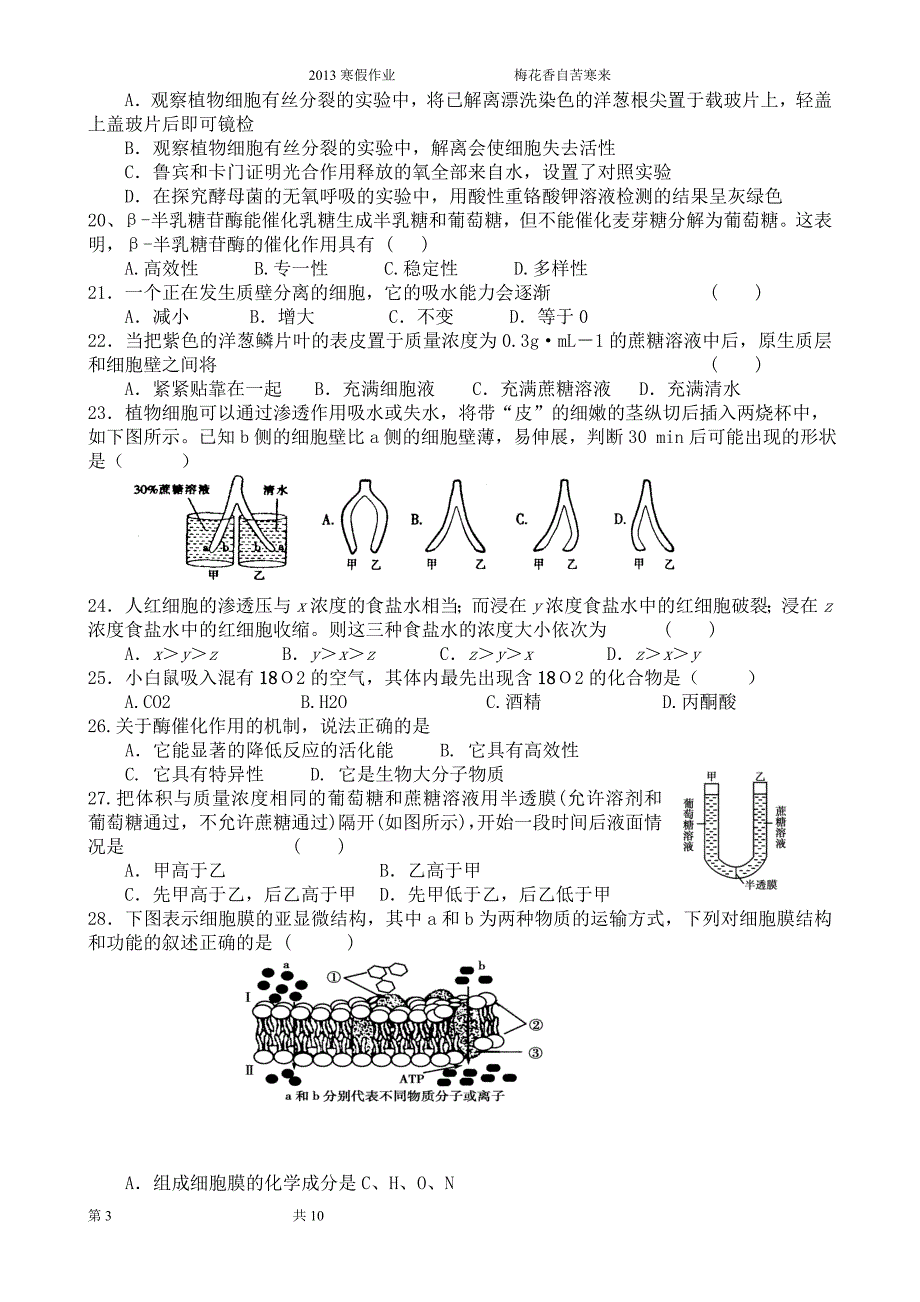 高二寒假,生物.doc_第3页