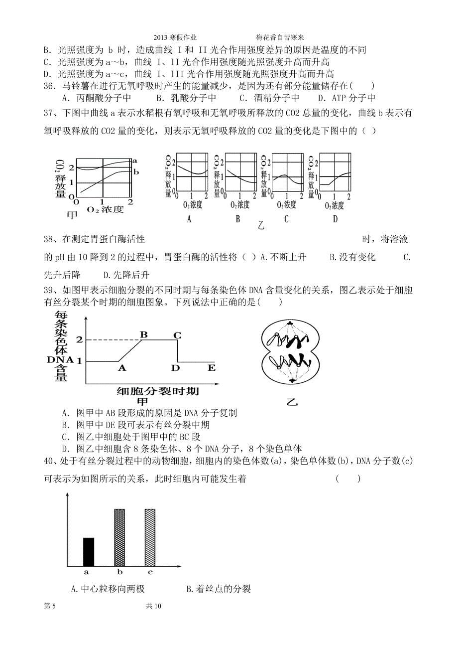 高二寒假,生物.doc_第5页