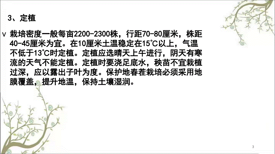 甜瓜种植病害管理课件_第3页