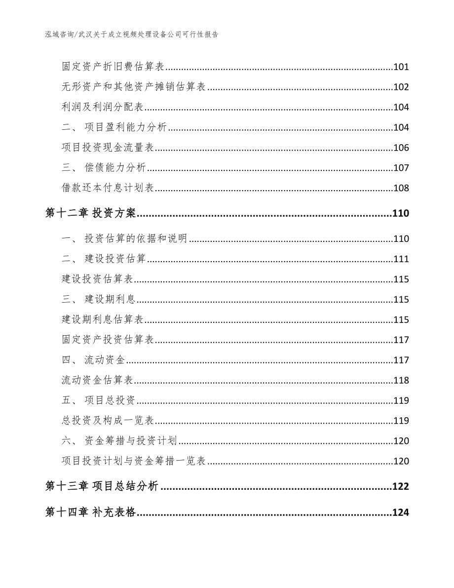 武汉关于成立视频处理设备公司可行性报告【模板范文】_第5页