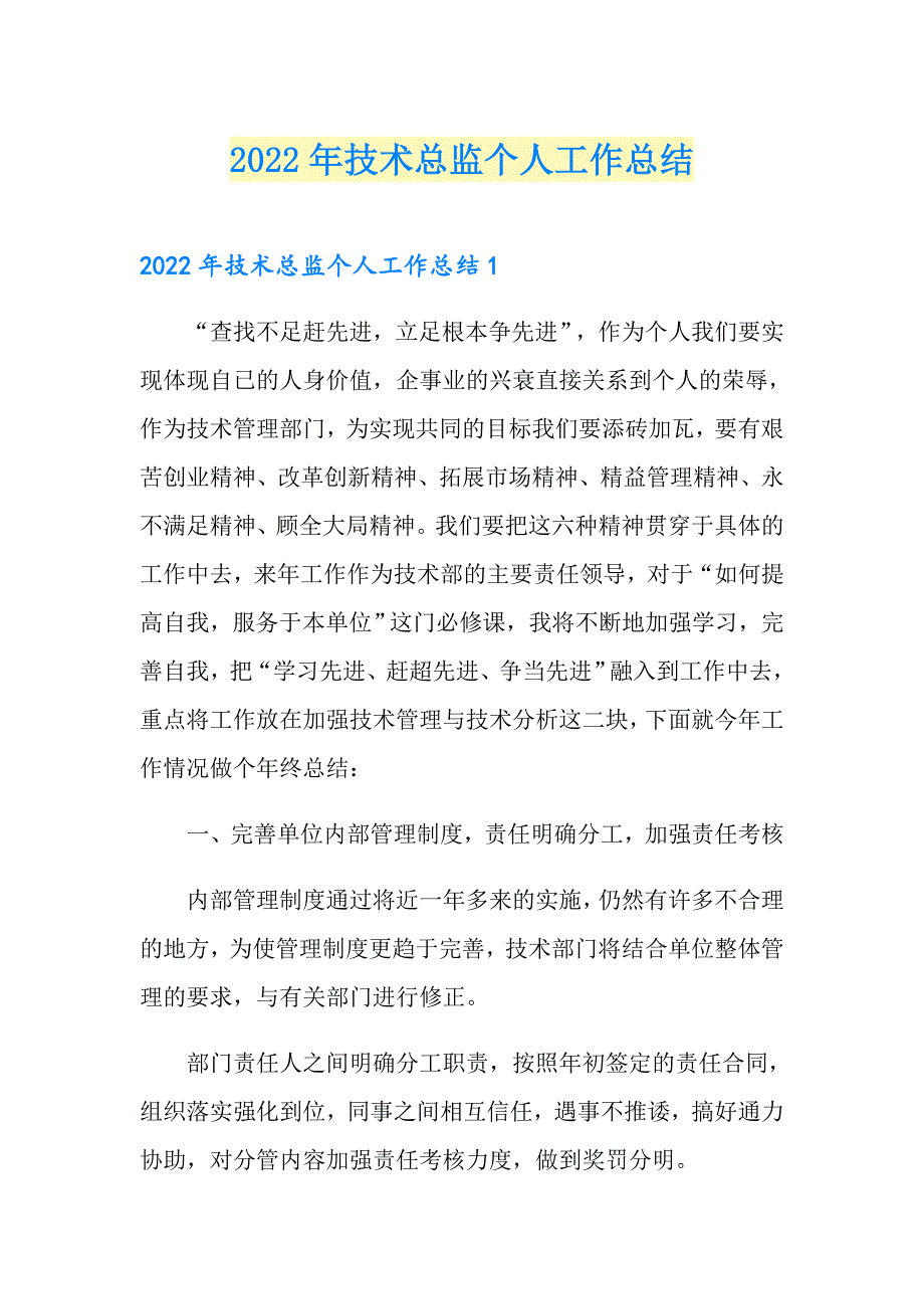 2022年技术总监个人工作总结_第1页