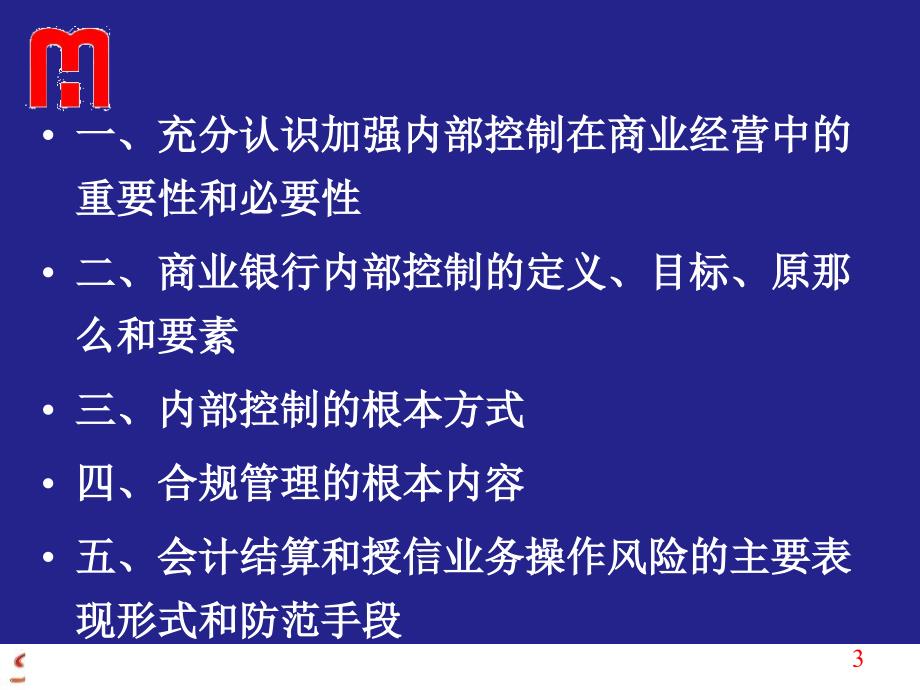 商业银行内部控制与合规风险管理( 129页)_第3页