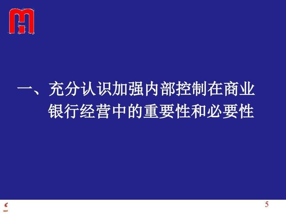 商业银行内部控制与合规风险管理( 129页)_第5页