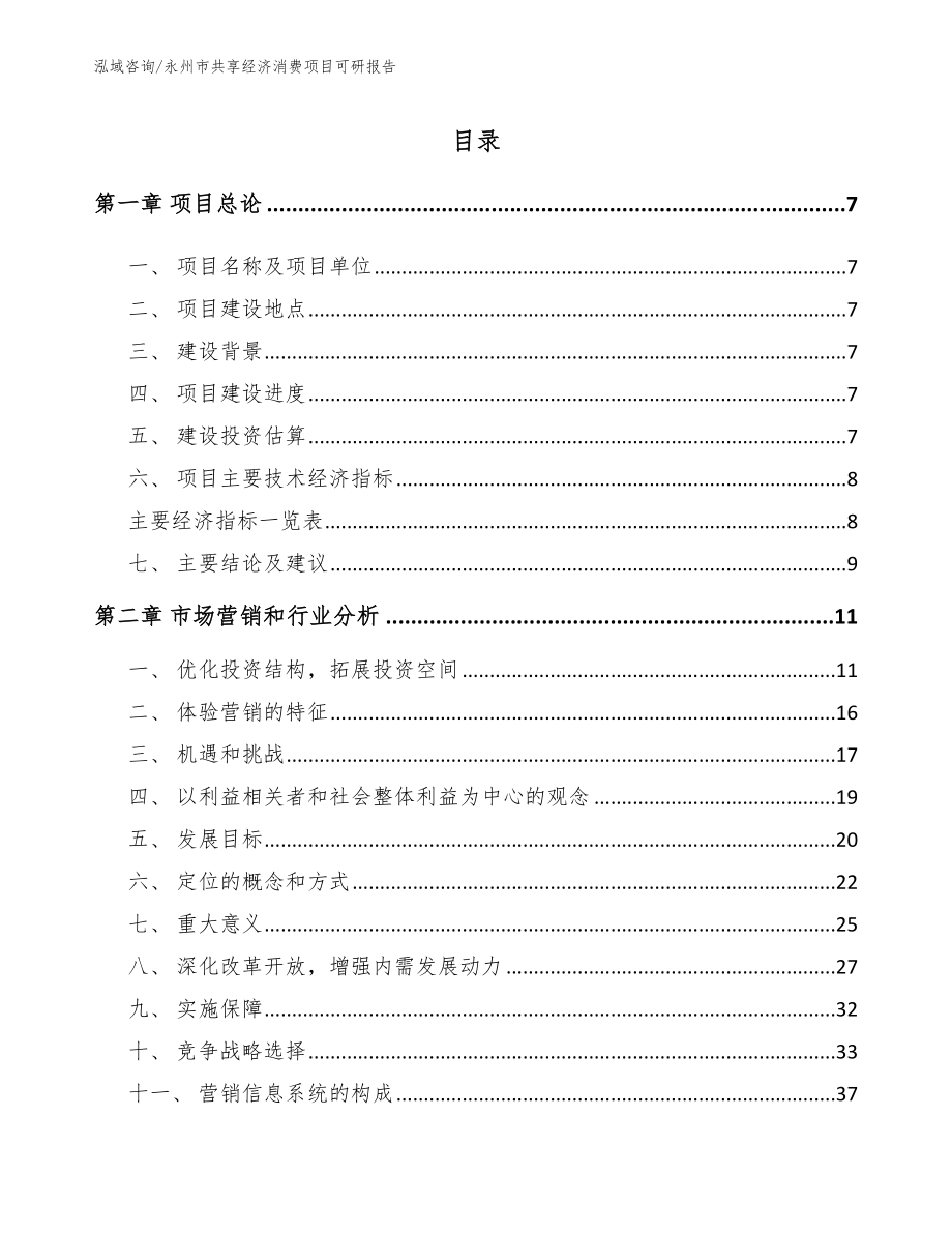 永州市共享经济消费项目可研报告_第2页