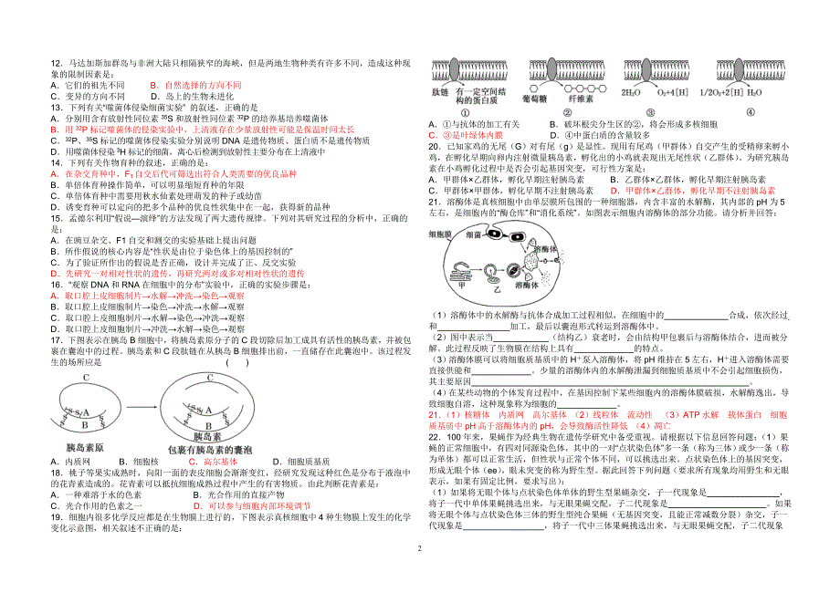 2013届复习班期中考试前生物强化训练2_第2页