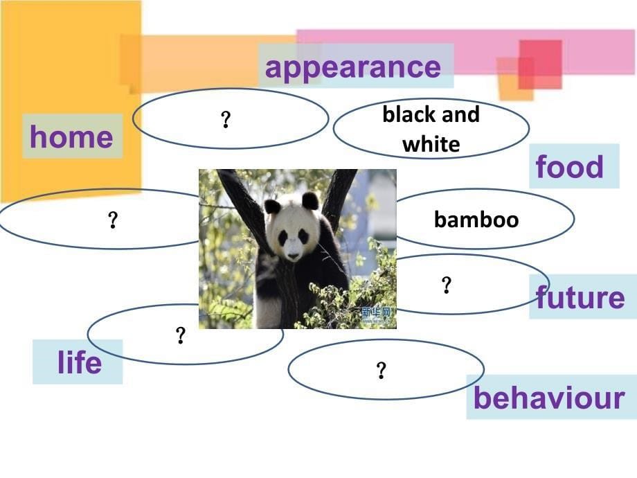 Unit 1 Listening&amp; Talk time_第5页